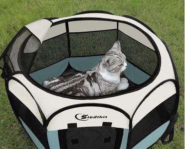 The Cat Cage That Saved My Sanity — and Gave Mochi a Room of Her Own